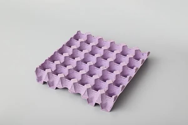 对辊式蛋托生产线插图4 Egg-Tary-02.webp