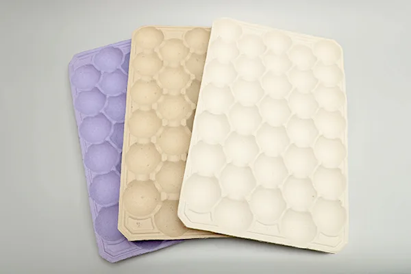 转鼓式蛋托生产线插图9 Fruit-Tray-02.webp