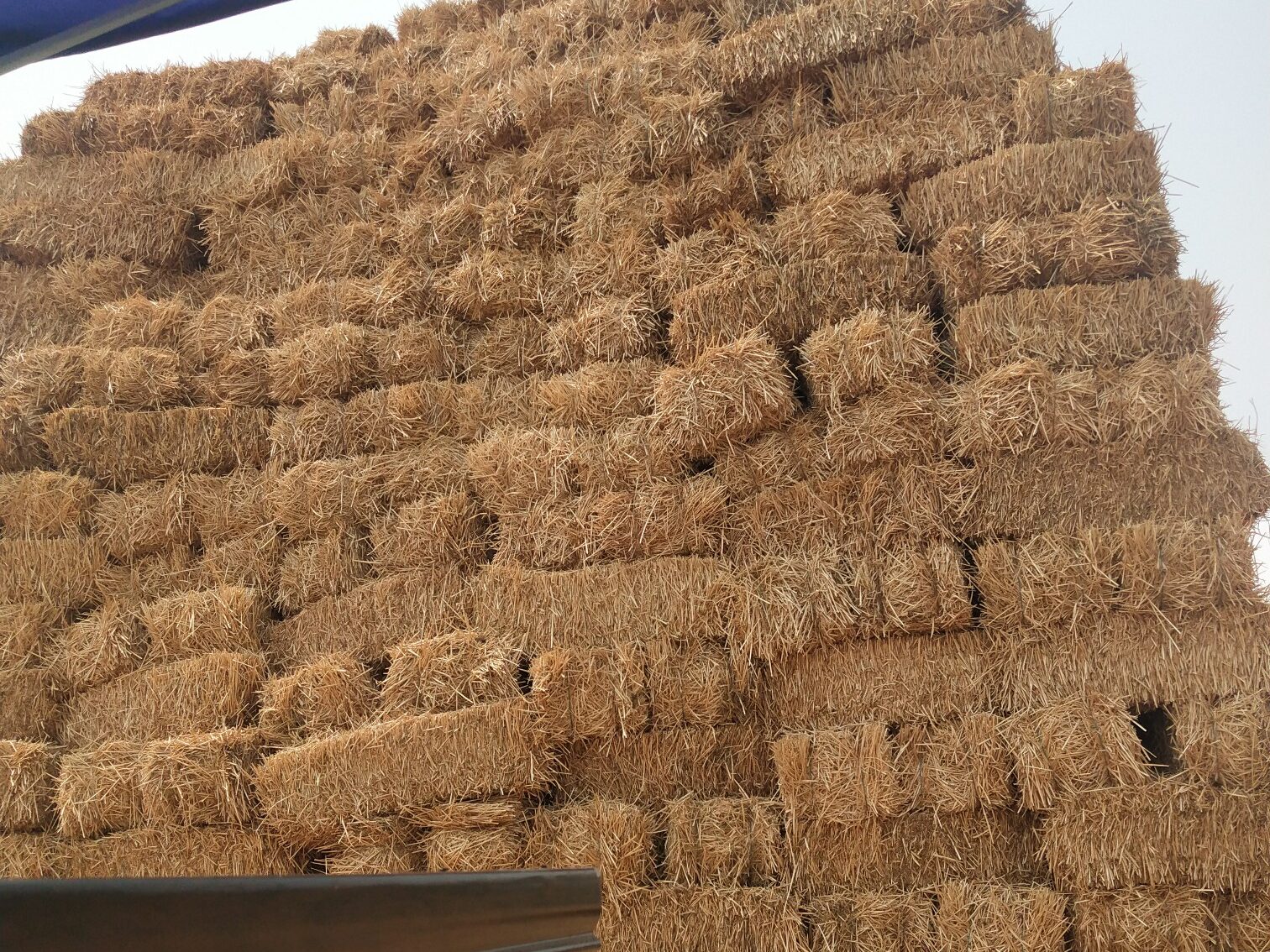 常见的爱游戏网官网入口原料特点分析插图2 常见的爱游戏网官网入口原料特点分析插图2