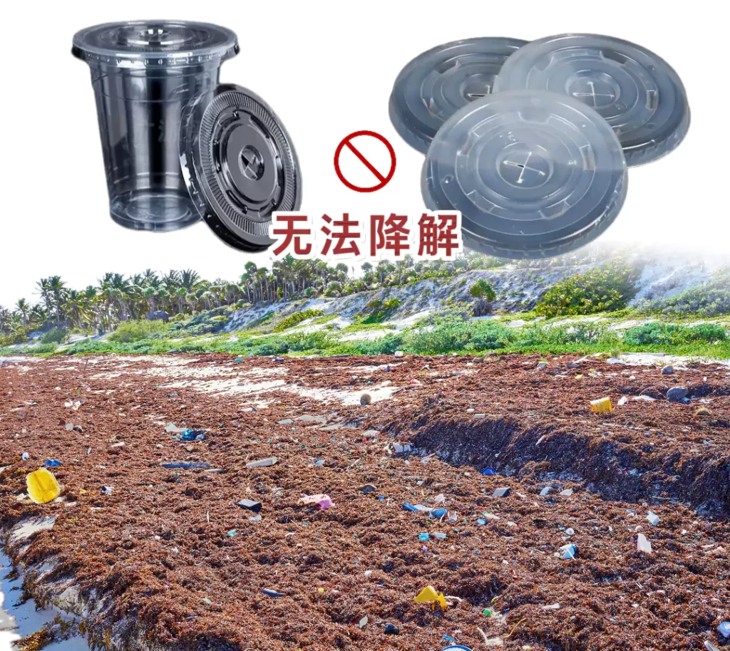 杯盖选对不踩坑!爱游戏网官网入口VS塑料,环保与实用双赢才是王道插图 杯盖选对不踩坑!爱游戏网官网入口VS塑料,环保与实用双赢才是王道插图